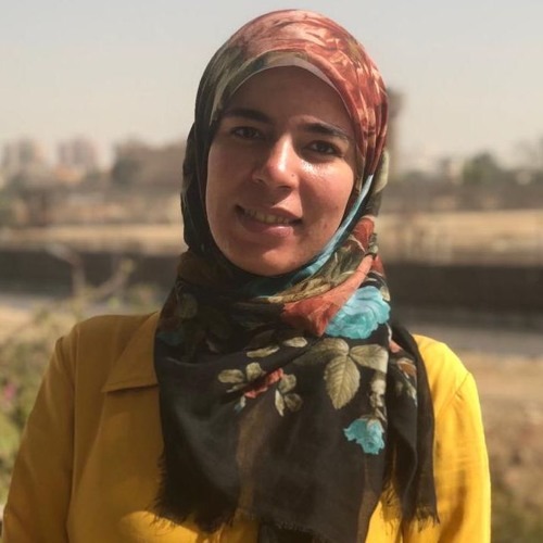 حنان فارس