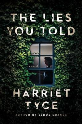 The Lies You Told