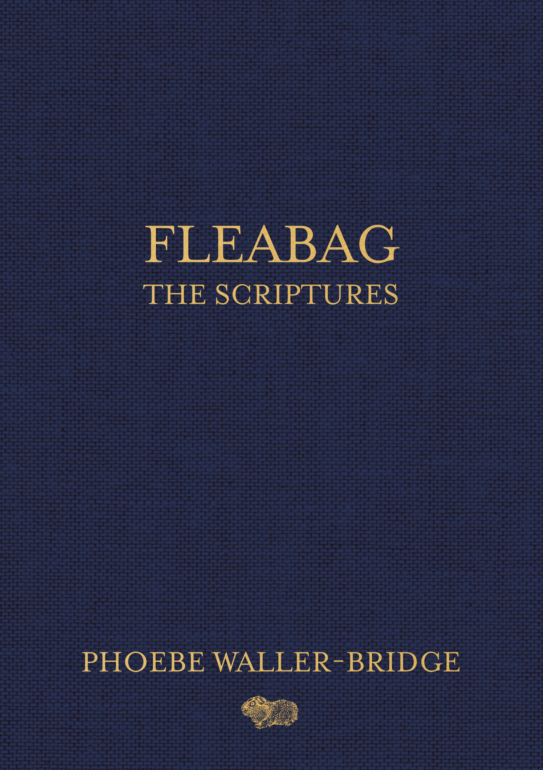 Fleabag: The Scripturesibute (Download PDF Book)