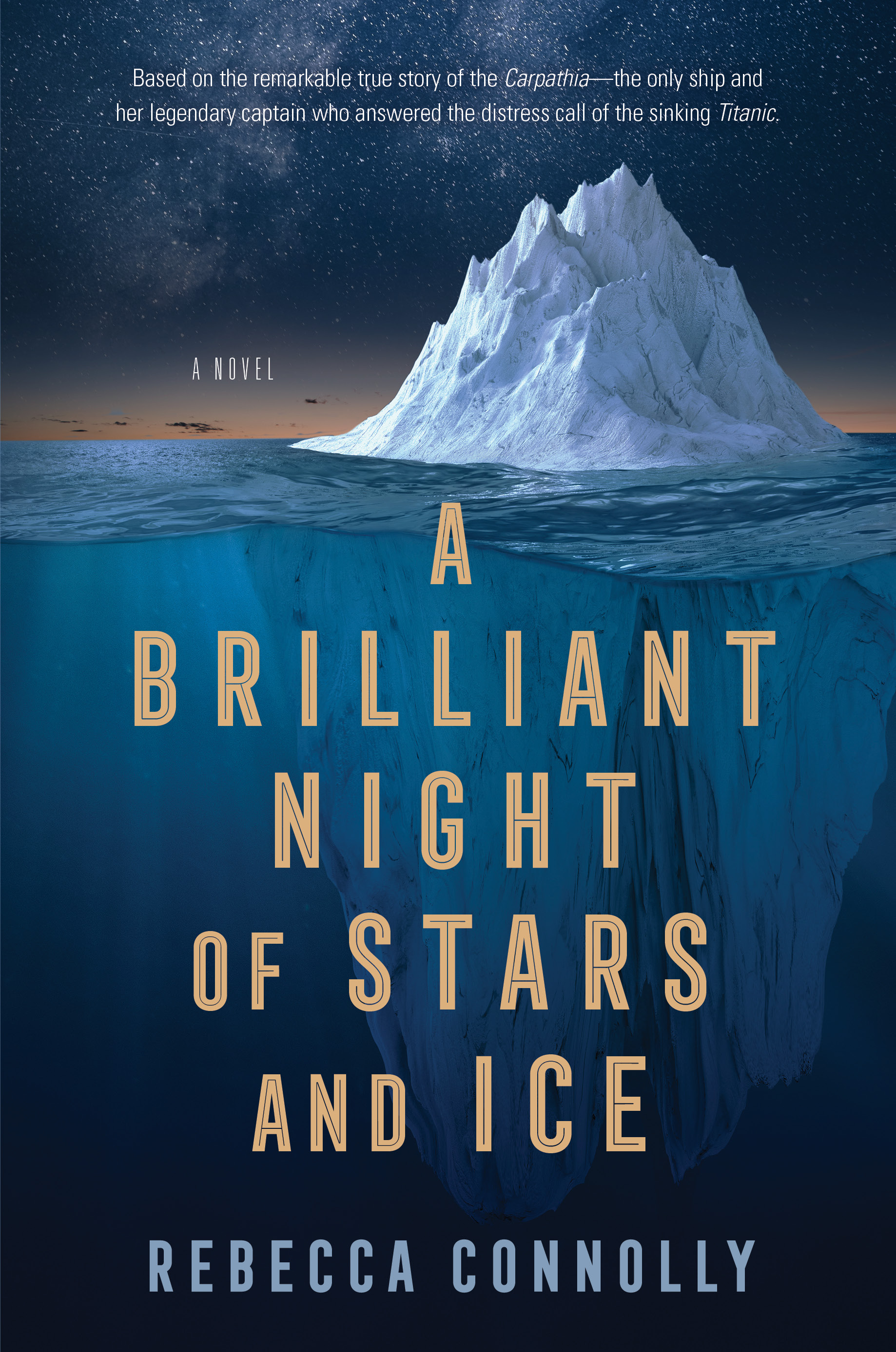 A Brilliant Night of Stars and Iceibute (Download PDF Book)