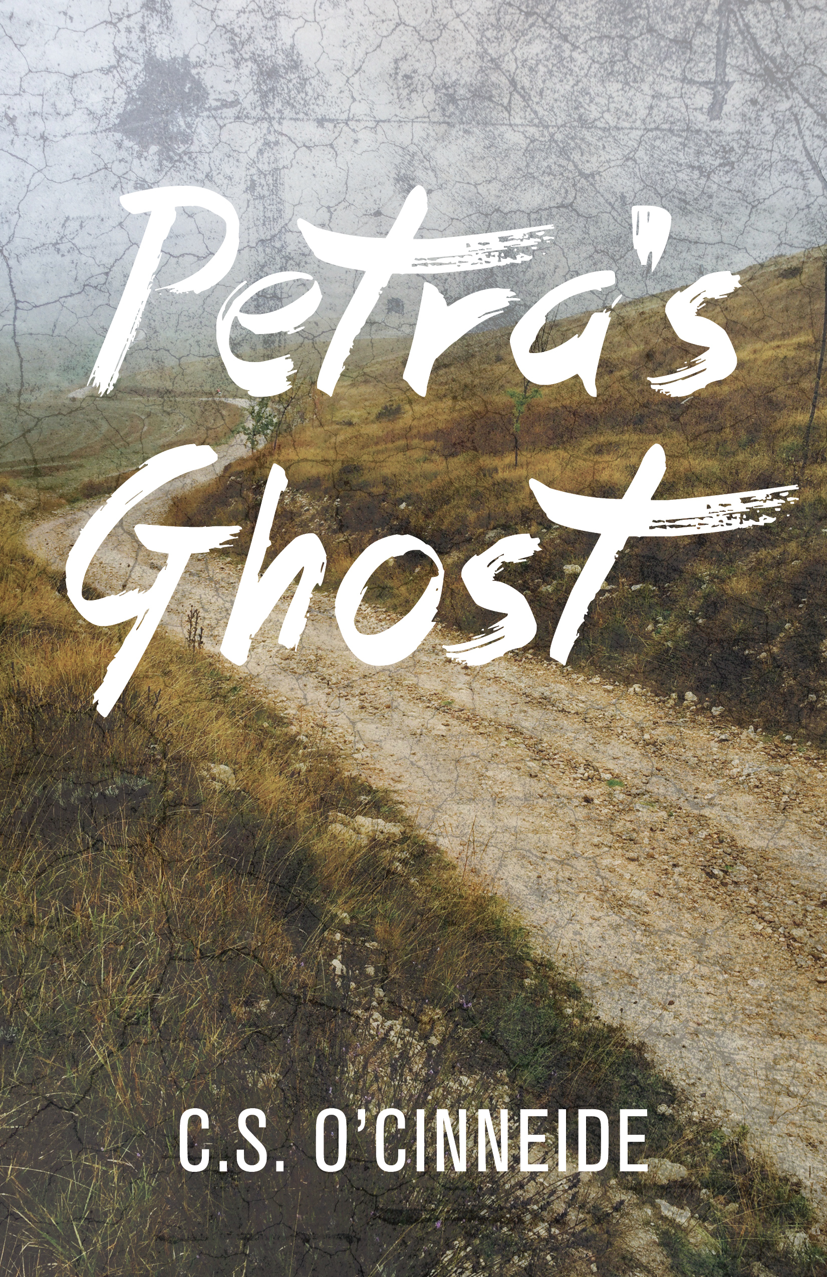 Petra's Ghostibute (Download PDF Book)