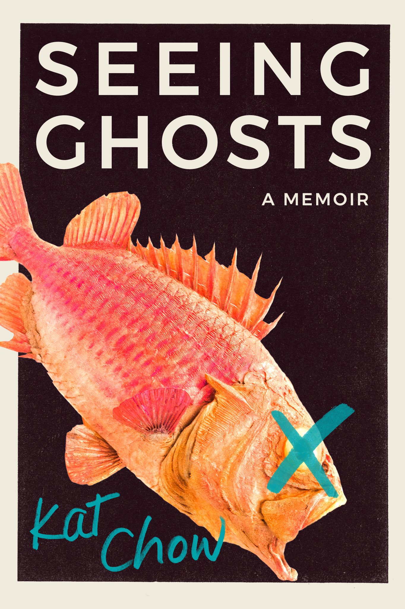 Seeing Ghostsibute (Download PDF Book)