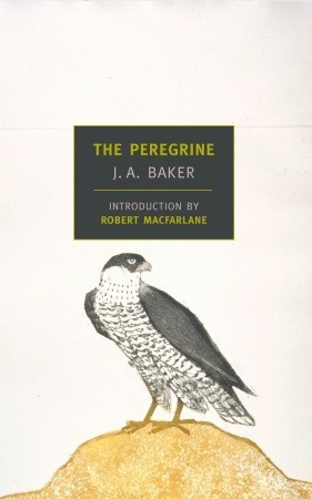 The Peregrine by J.A. Bakeribute (Download PDF Book)