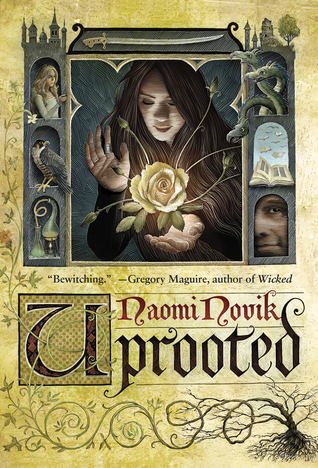 Uprooted by Naomi Novikibute (Download PDF Book)