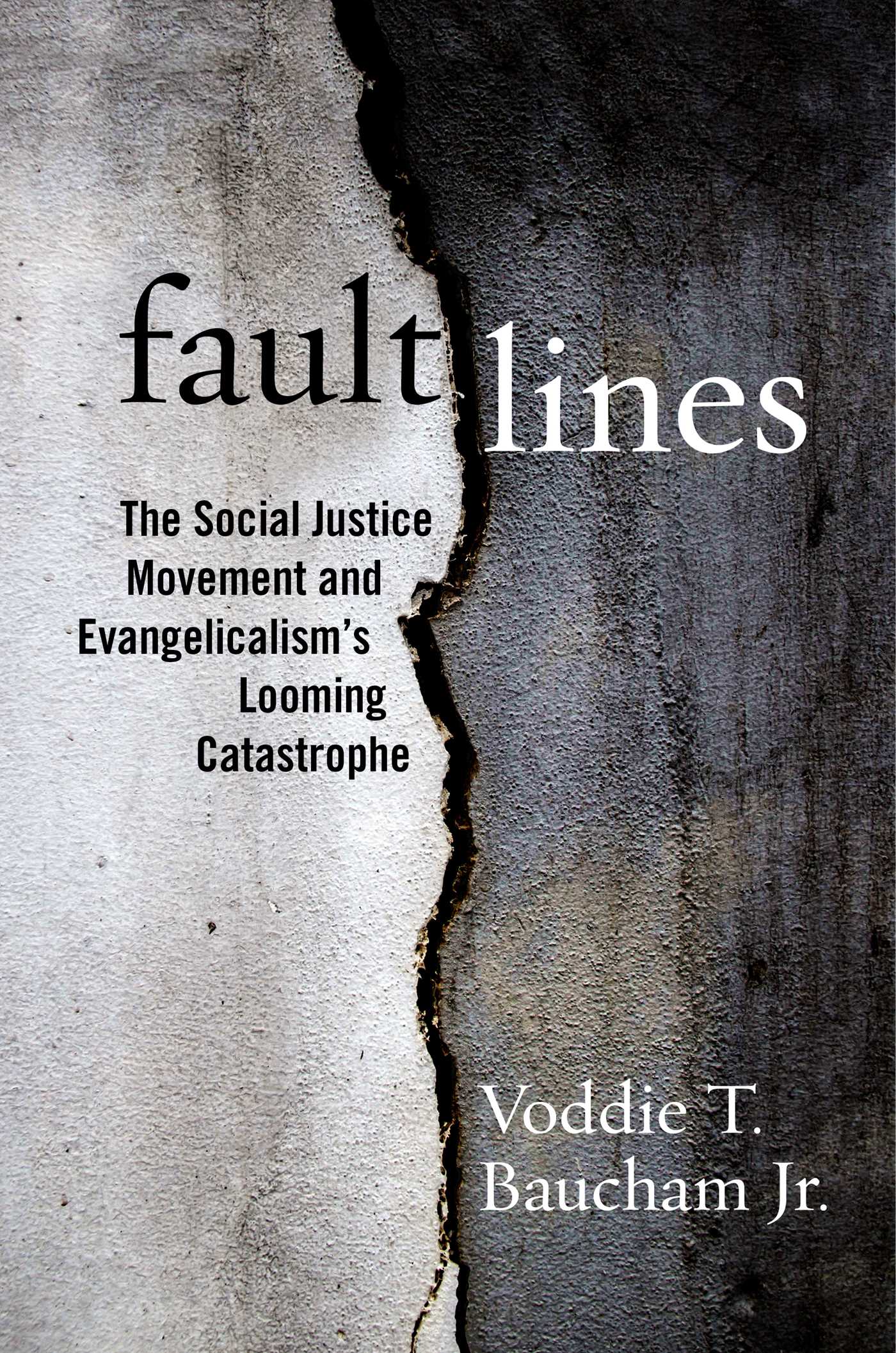Fault Lines by Voddie T. Baucham Jr.ibute (Download PDF Book)