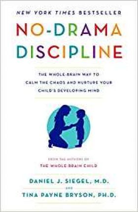No-drama Disciplineibute (Download PDF Book)