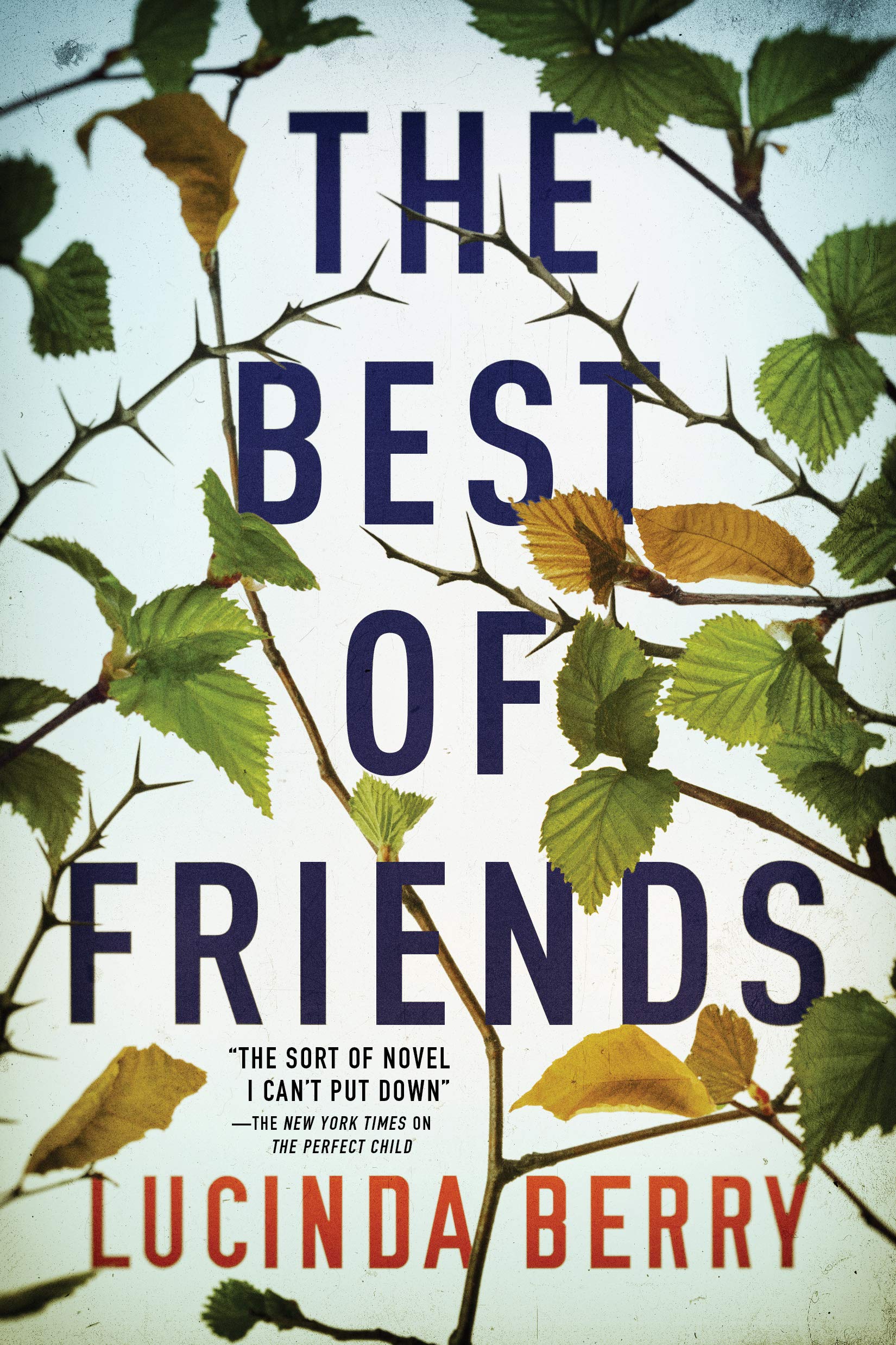 The Best of Friendsibute (Download PDF Book)