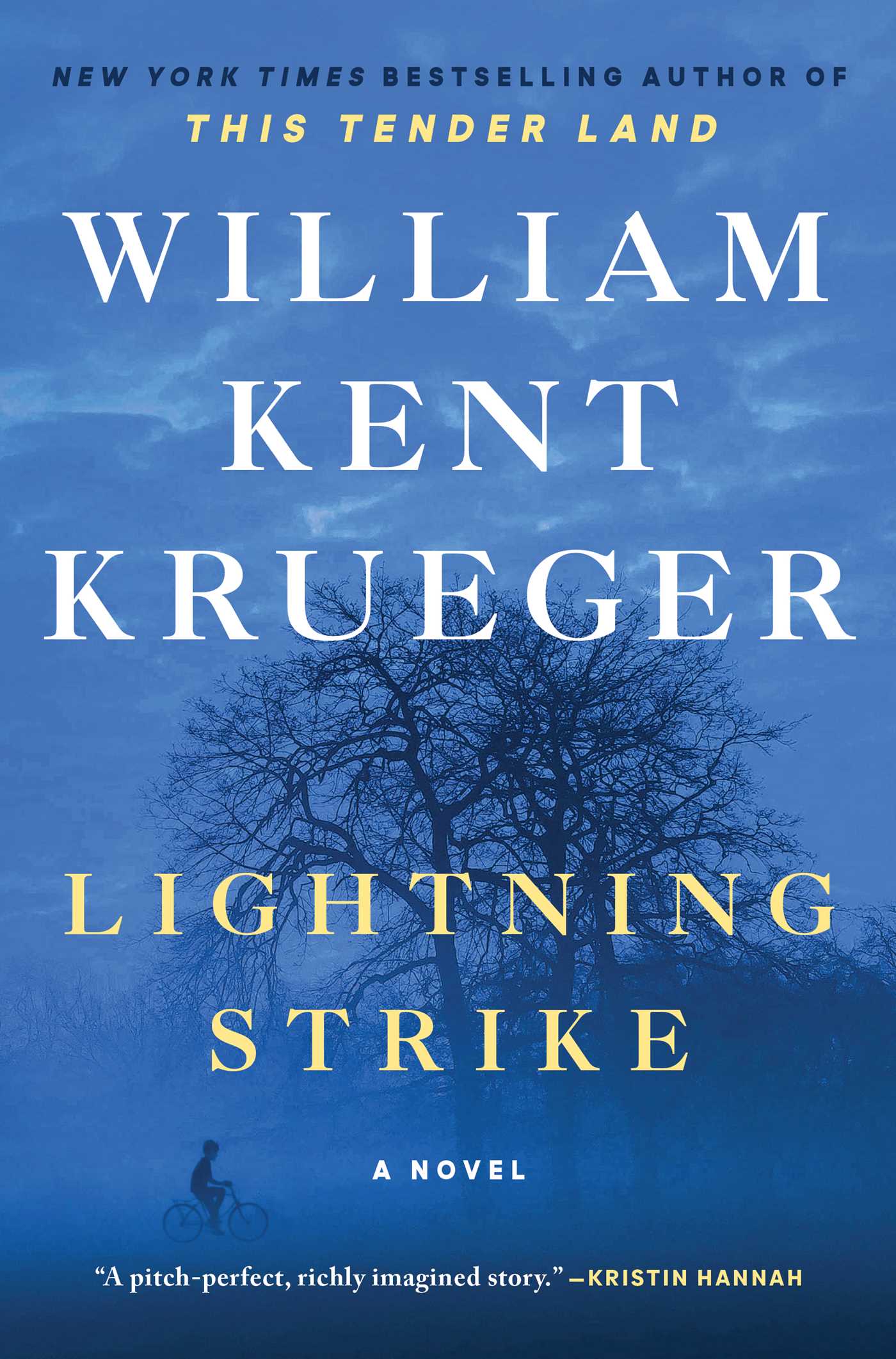 Lightning Strike (Cork O'Connor #18)ibute (Download PDF Book)