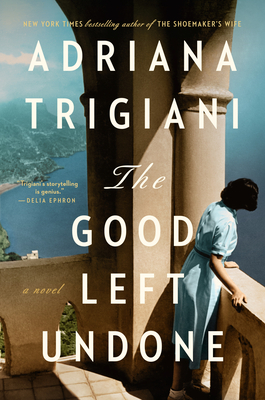 The Good Left Undoneibute (Download PDF Book)