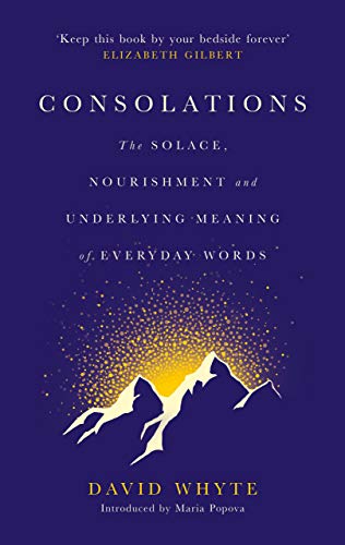 Consolations by David Whyteibute (Download PDF Book)