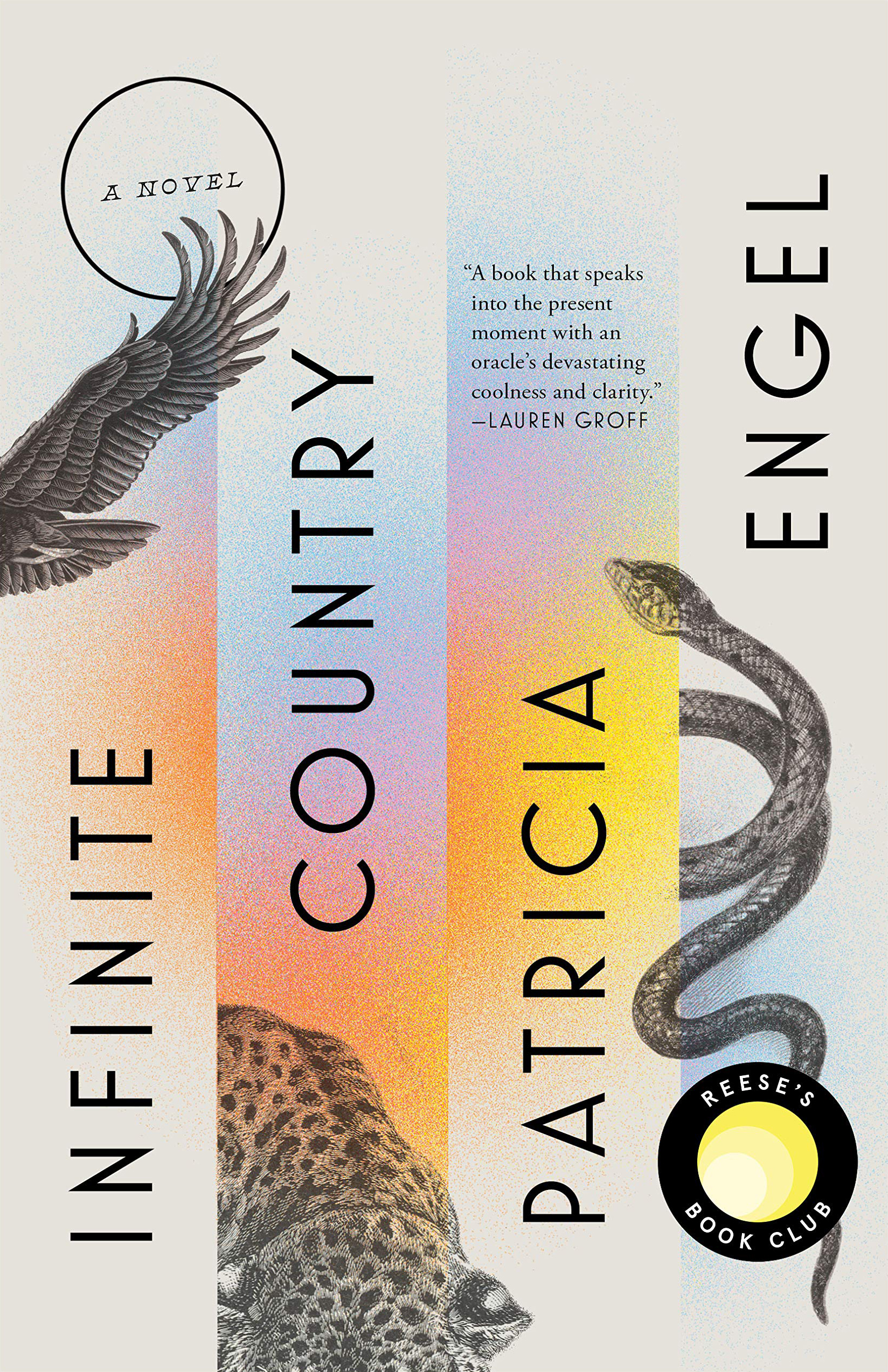 Infinite Country by Patricia Engelibute (Download PDF Book)