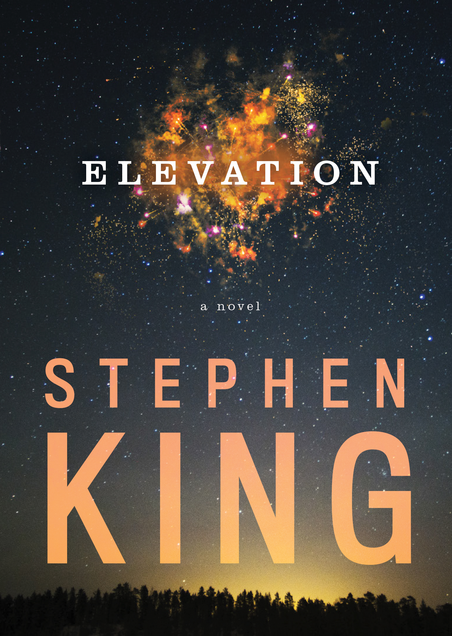 Elevation by Stephen Kingibute (Download PDF Book)
