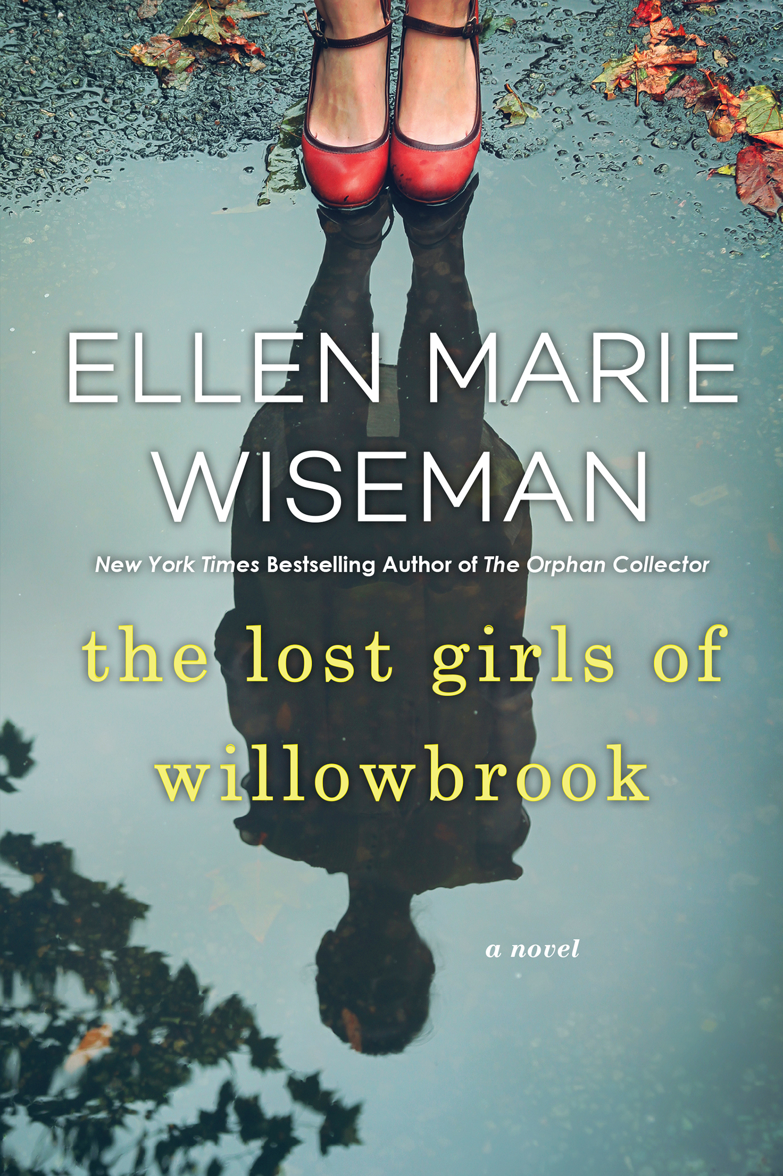 The Lost Girls of Willowbrookibute (Download PDF Book)