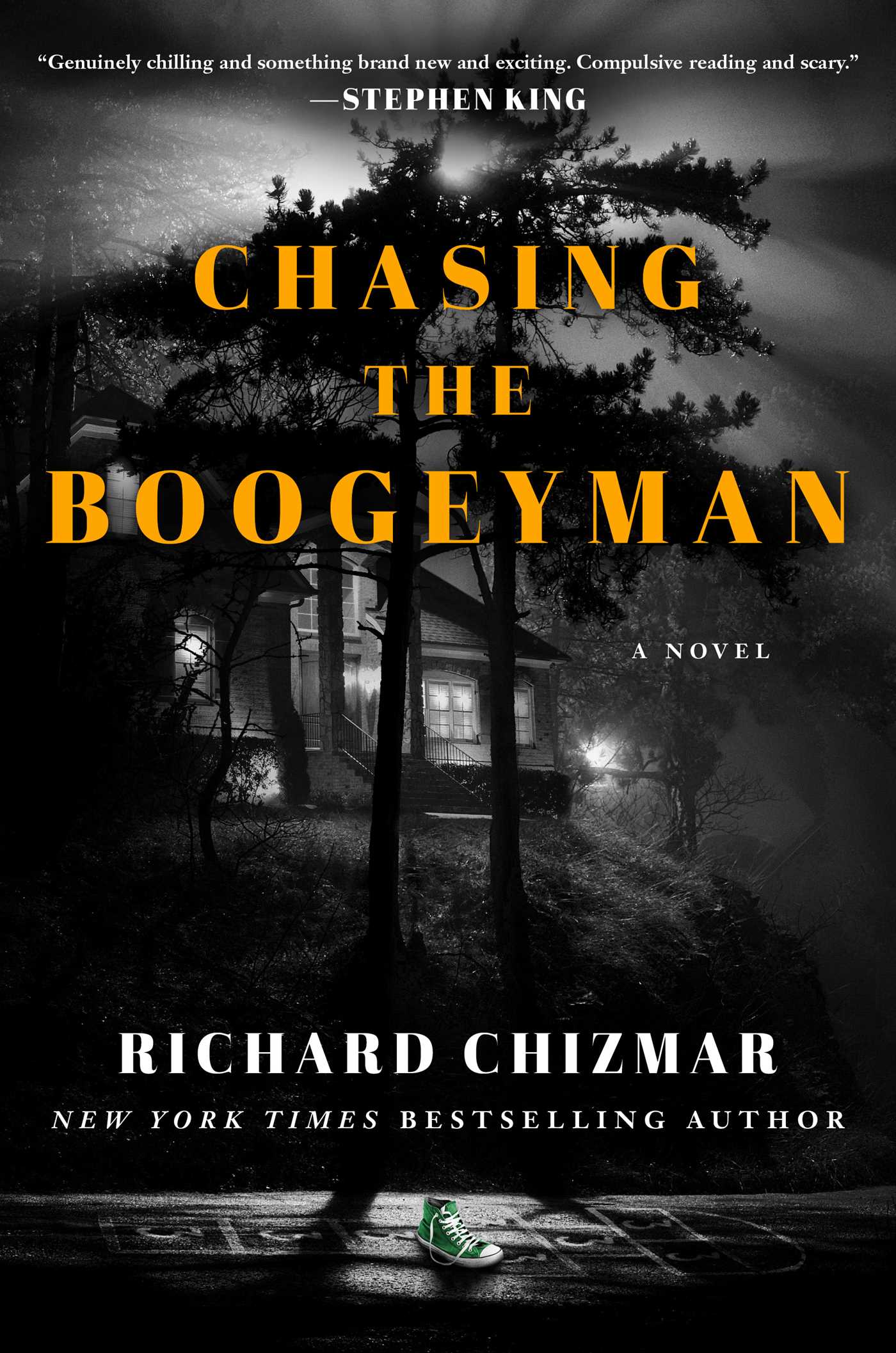 Chasing the Boogeymanibute (Download PDF Book)