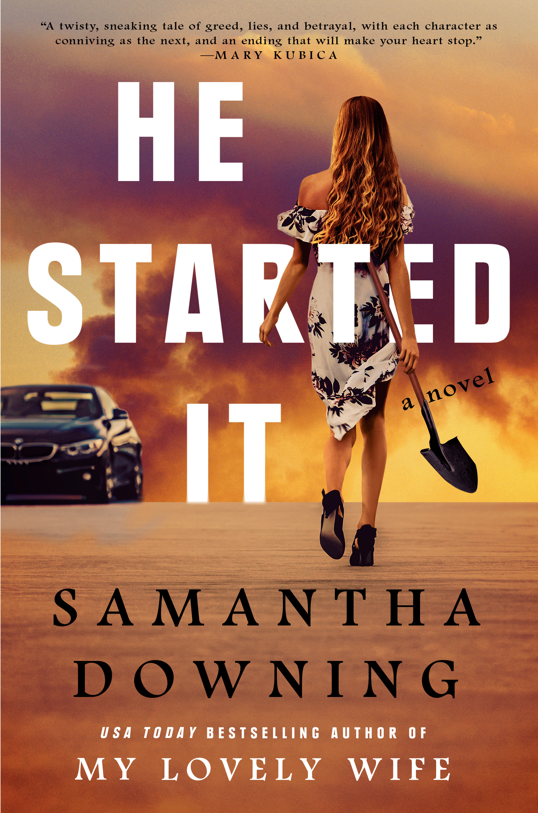 He Started It by Samantha Downingibute (Download PDF Book)