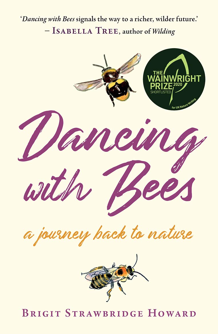 Dancing with Beesibute (Download PDF Book)