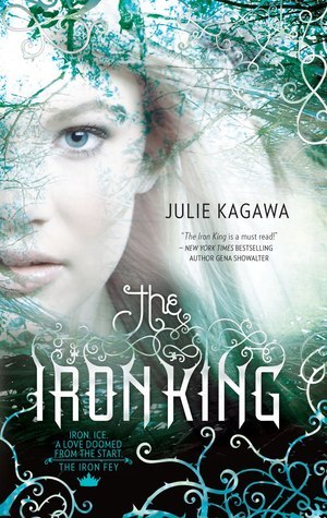 The Iron King (The Iron Fey #1)ibute (Download PDF Book)