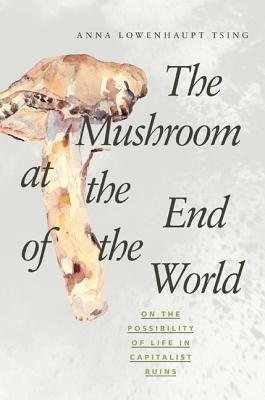 The Mushroom at the End of the World #4ibute (Download PDF Book)
