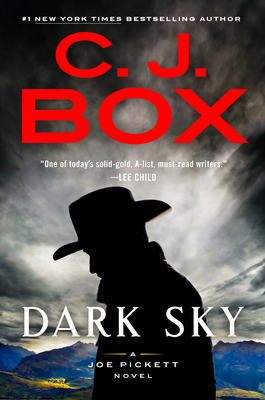 Dark Sky (Joe Pickett #21)ibute (Download PDF Book)