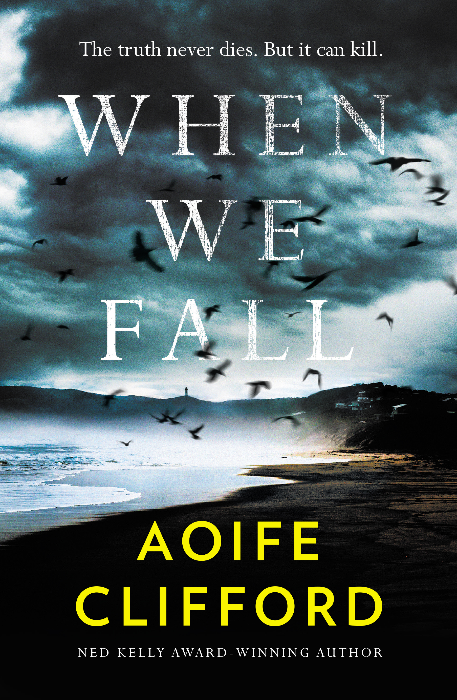 When We Fall by Aoife Cliffordibute (Download PDF Book)