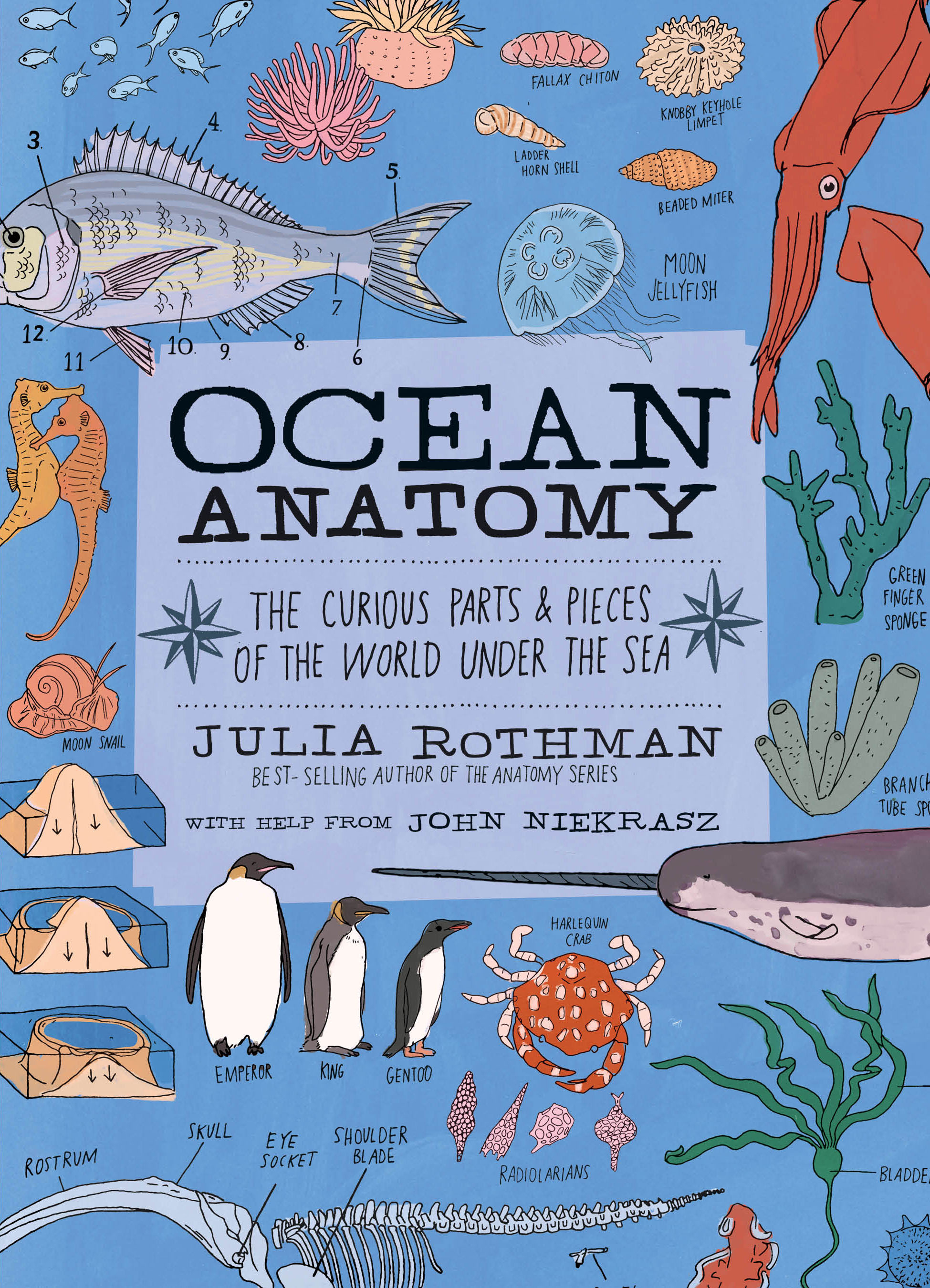 Ocean Anatomy by Julia Rothmanibute (Download PDF Book)
