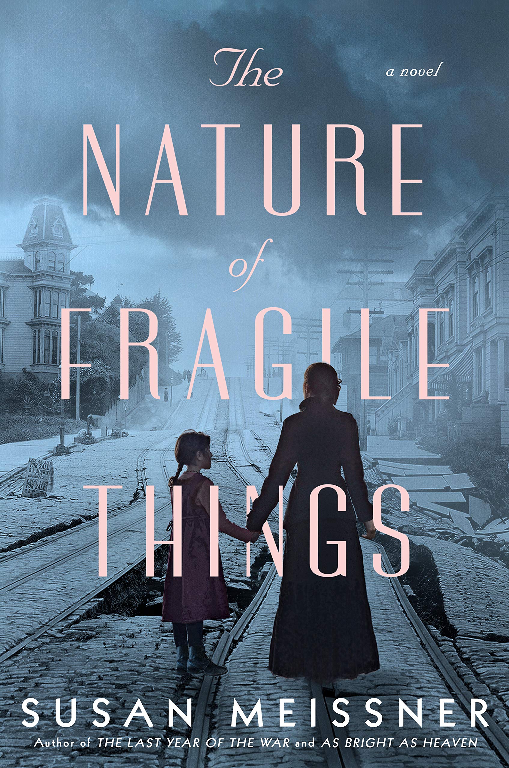 The Nature of Fragile Thingsibute (Download PDF Book)