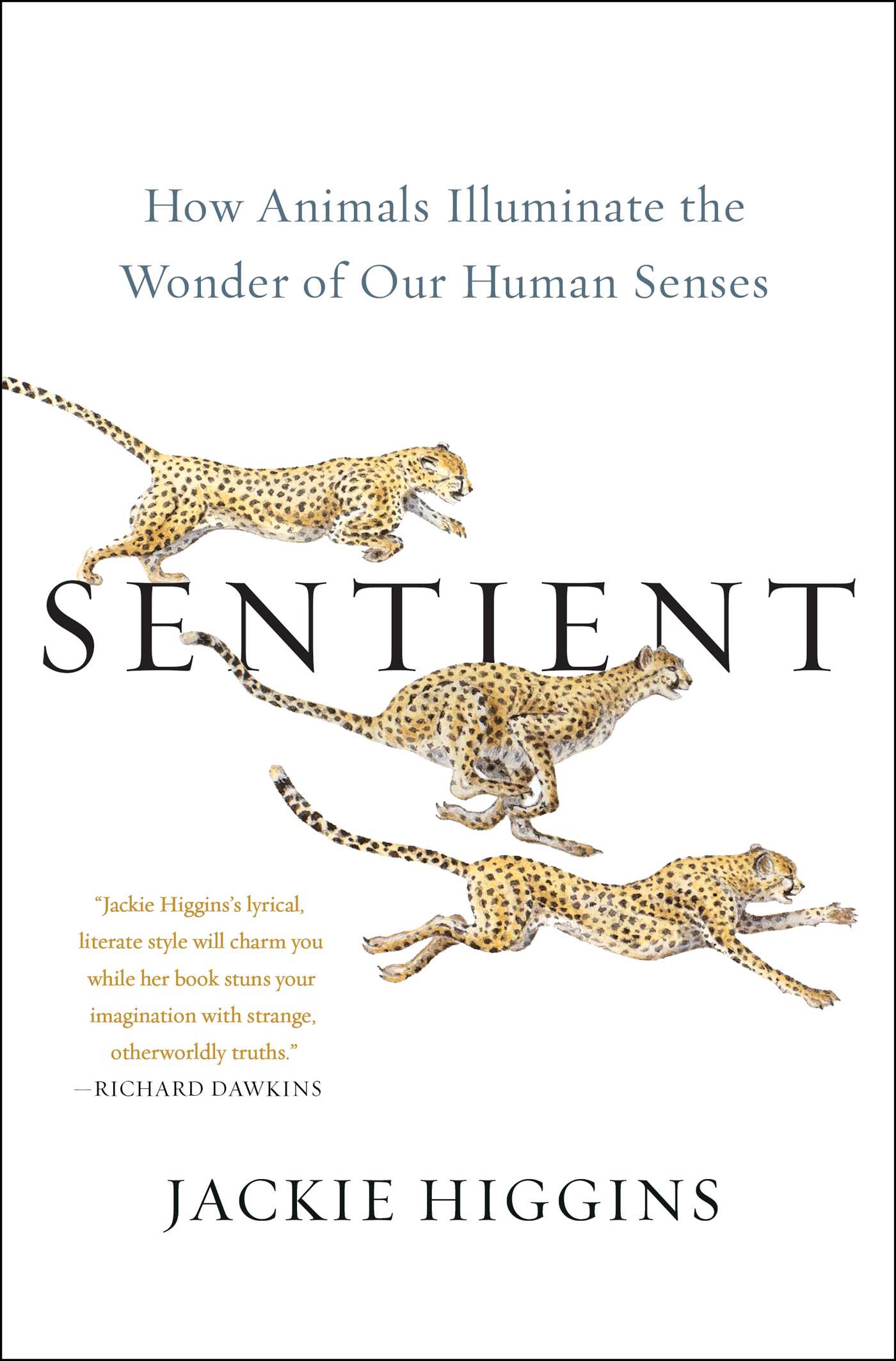 Sentient by Jackie Higgins