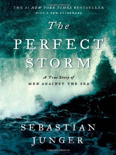 The Perfect Storm by Sebastian Jungeribute (Download PDF Book)