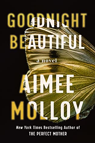 Goodnight Beautiful by Aimee Molloyibute (Download PDF Book)